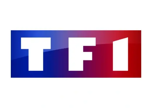 tfi logo